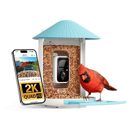 Birdfy Feeder - Smart Bird Feeder with Camera Standard Kit