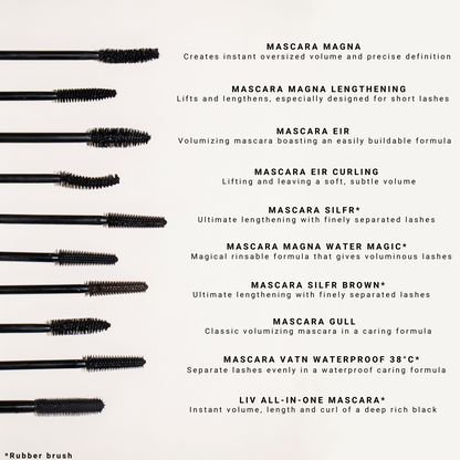 MASCARA EIR