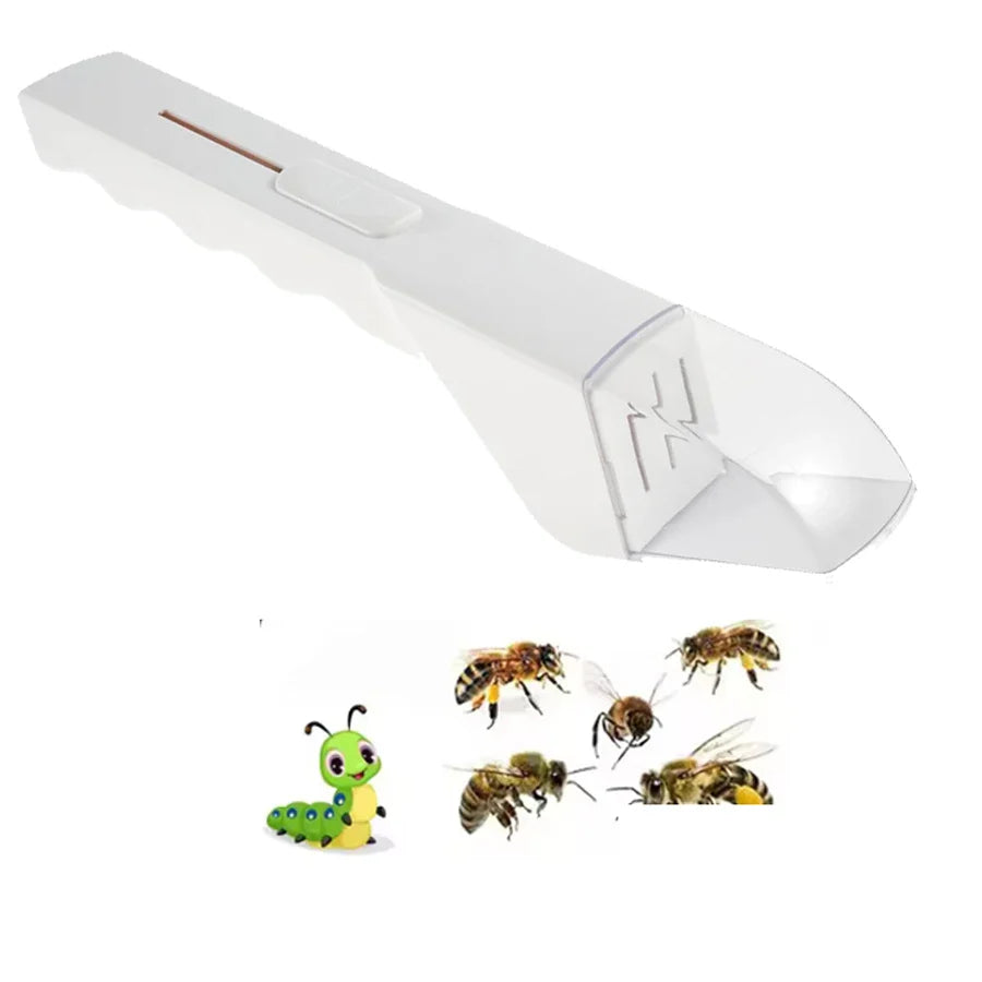 Humane Insect Catcher Viewer | 360° Observation Tool for Kids & Nature Lovers