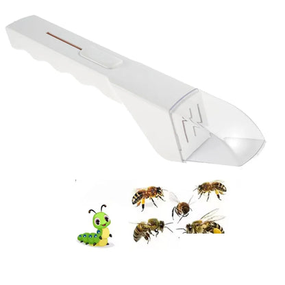 Humane Insect Catcher Viewer | 360° Observation Tool for Kids & Nature Lovers