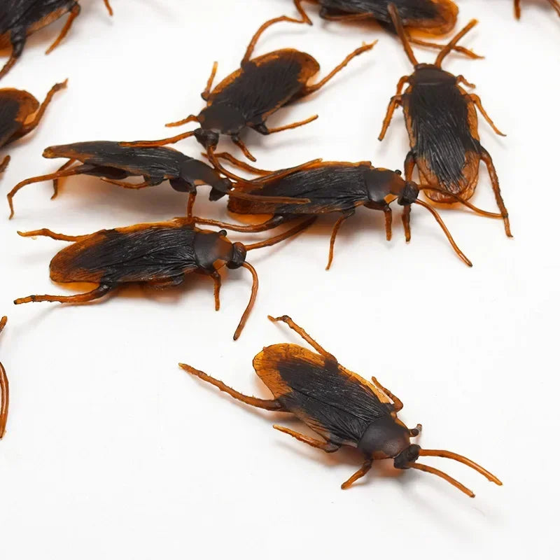 Fake Roach and Bug Set | Halloween Prank Props