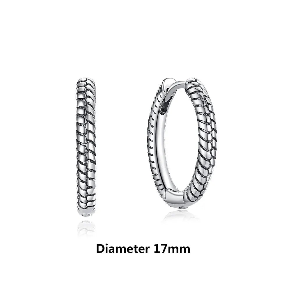 925 Sterling Silver Earrings | Women's Trendy Stud and Hoop Jewelry with Cubic Zirconia