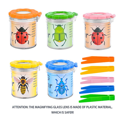 Children's Insect Observation Box | Outdoor Exploration Kit