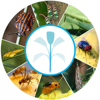 Plastic Fly Swatter | Lightweight Insect Pest Control Tool for Home Kitchen Outdoor