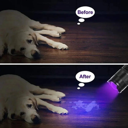UV LED Flashlight 395nm | Ultraviolet Blacklight Detector for Pet Urine and Stains