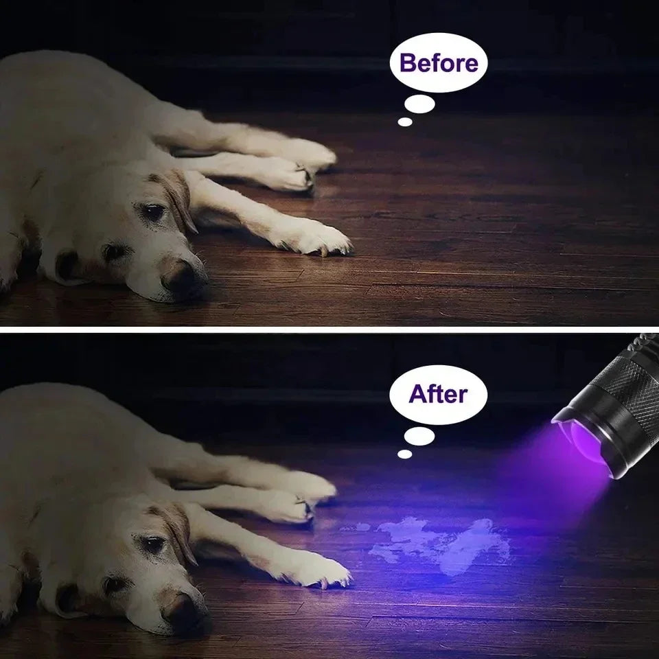 LED UV Flashlight Rechargeable | 395nm Ultraviolet Blacklight for Pet Urine Detection