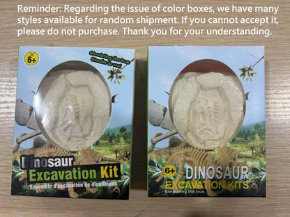 Dinosaur Fossil Dig Kit for Kids | Educational Excavation Toy