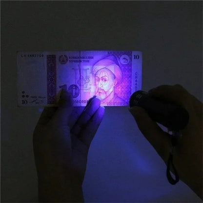 Portable UV Flashlight 365-395nm | Black Light Ultraviolet Zoomable Torch for Pet Urine and Stain Detection