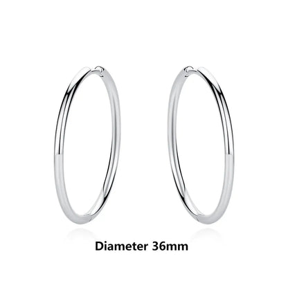 925 Sterling Silver Earrings | Women's Trendy Stud and Hoop Jewelry with Cubic Zirconia