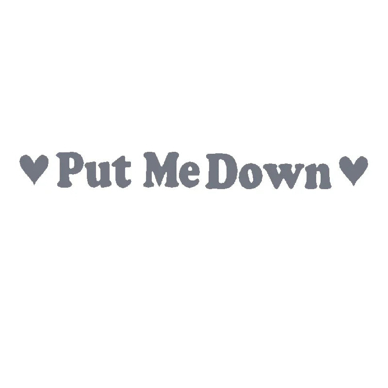 PUT ME DOWN Toilet Seat Reminder Sign | Funny Vinyl Bathroom Decal