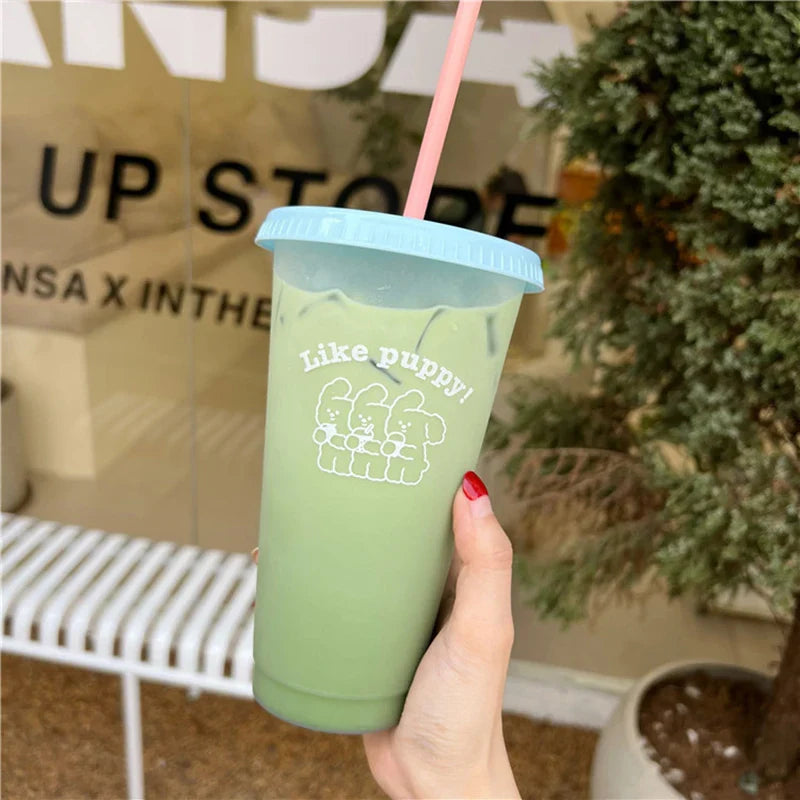 Cute Kawaii Water Bottle | Reusable Plastic Tumbler with Straw Lid for Coffee Juice Tea