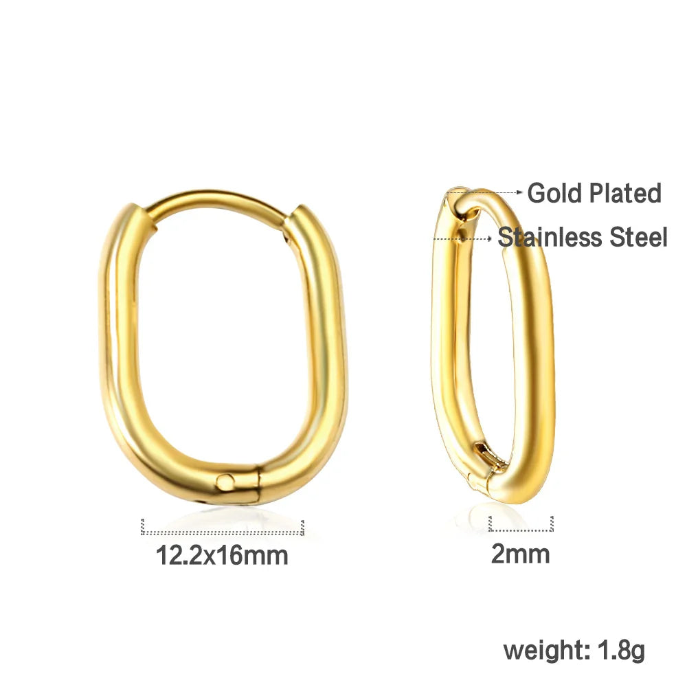 Stainless Steel Hoop Earrings for Women | Hypoallergenic Round Hinged Hoops - 12/14/16mm