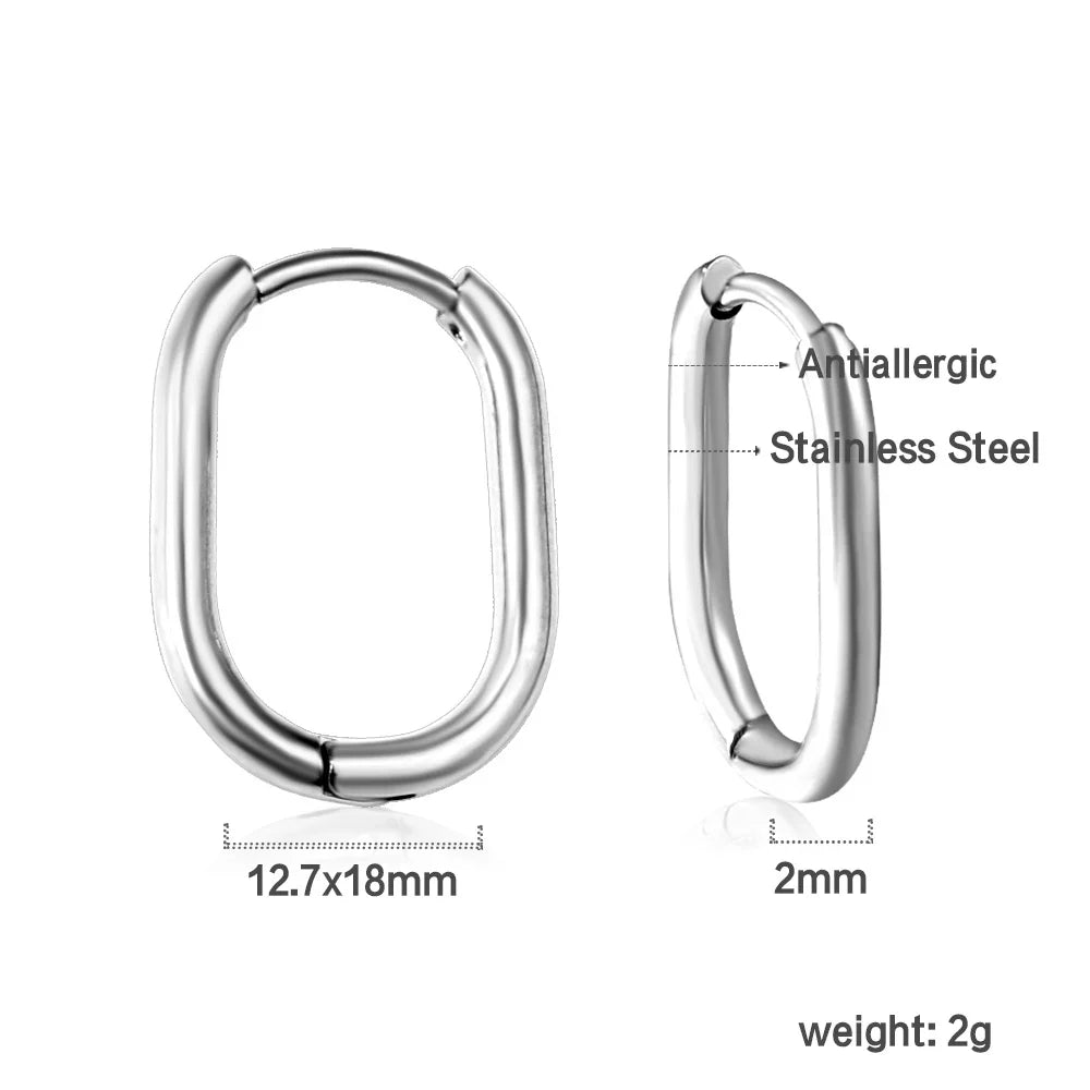 Stainless Steel Hoop Earrings for Women | Hypoallergenic Round Hinged Hoops - 12/14/16mm