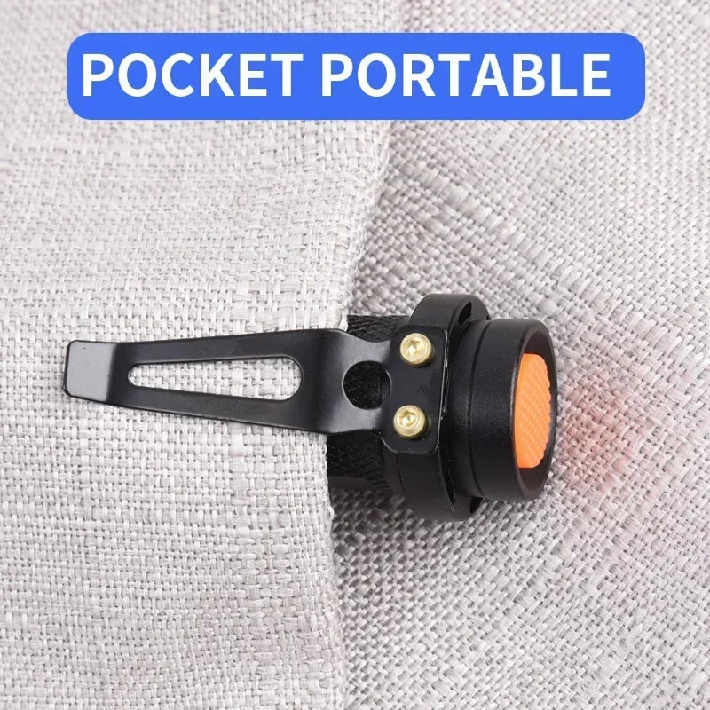 Portable UV Flashlight 365-395nm | Black Light Ultraviolet Zoomable Torch for Pet Urine and Stain Detection