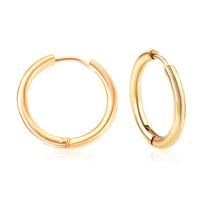 Stainless Steel Hoop Earrings for Women | Hypoallergenic Round Hinged Hoops - 12/14/16mm