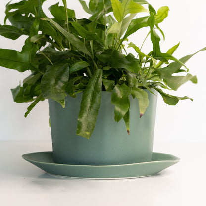 Geometric Oval Handmade Porcelain Planter