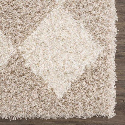 Zahur Cream & Beige Diamond Area Rug