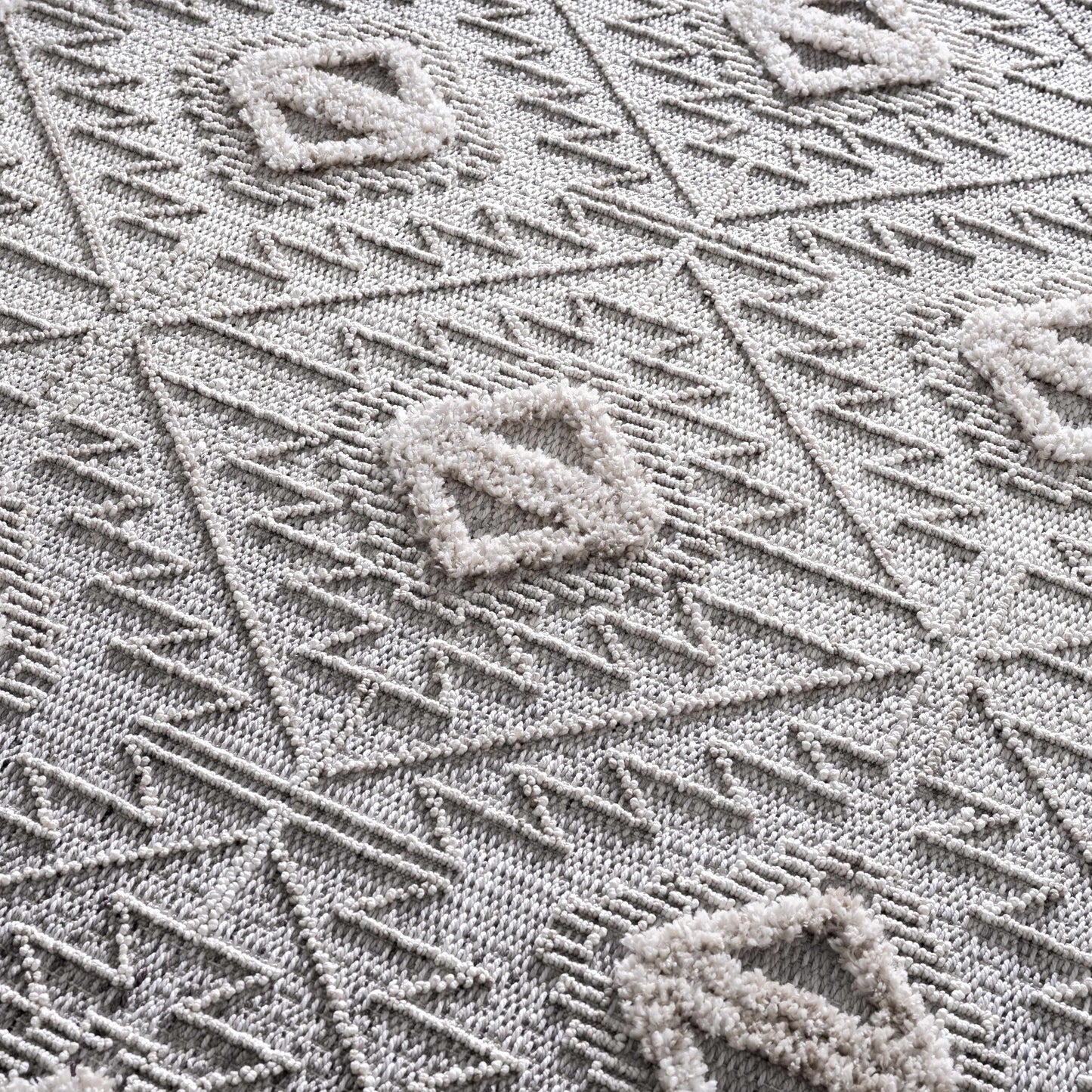 Agoo Area Rug