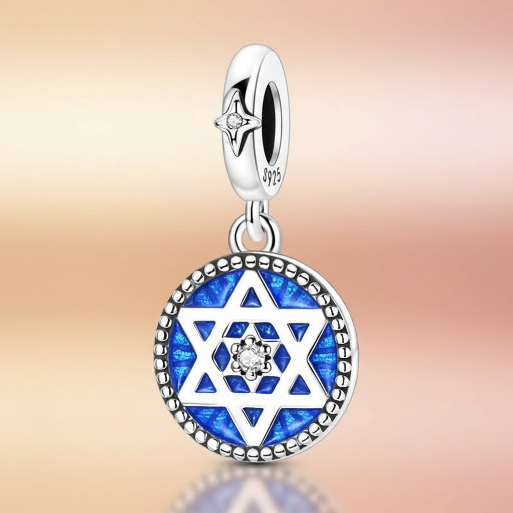 (50-113)MULA S925 Sterling Silver Pendant and Beads , Suitable for Pandora Bracelets and Necklaces, Ideal for Anniversary Gifts, Christmas, Birthday Presents, and Suitable for All Women.