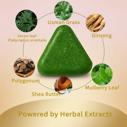 Anti Hair Loss Shampoo Bar – with Usman Grass, Arborvitae Leaves, Polygonum, Ginseng & Tea Tree, Strengthens Roots, Reduces Hair Fall, for Thinning Hair, Sulfate-Free, Herbal Hair Growth Soap 80G Haircare Cleansing Conditioner Biotin Hair Conditioner Bar