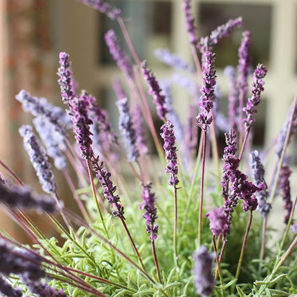 Faux Artificial Lavender Provence Lavender Stem 21" Tall Silk