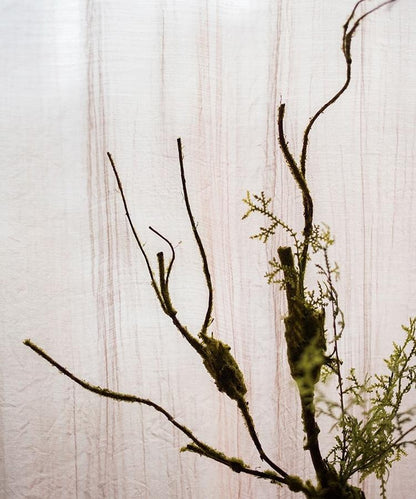 Artificial Plant Moss Rattan Stem 30" Tall