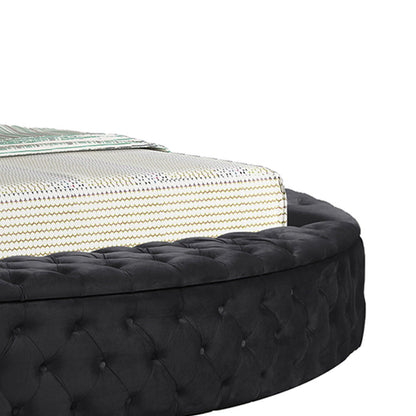 Hazel - Queen Size Tufted Storage Bed & Bluetooth Speakers, USB Port - Black