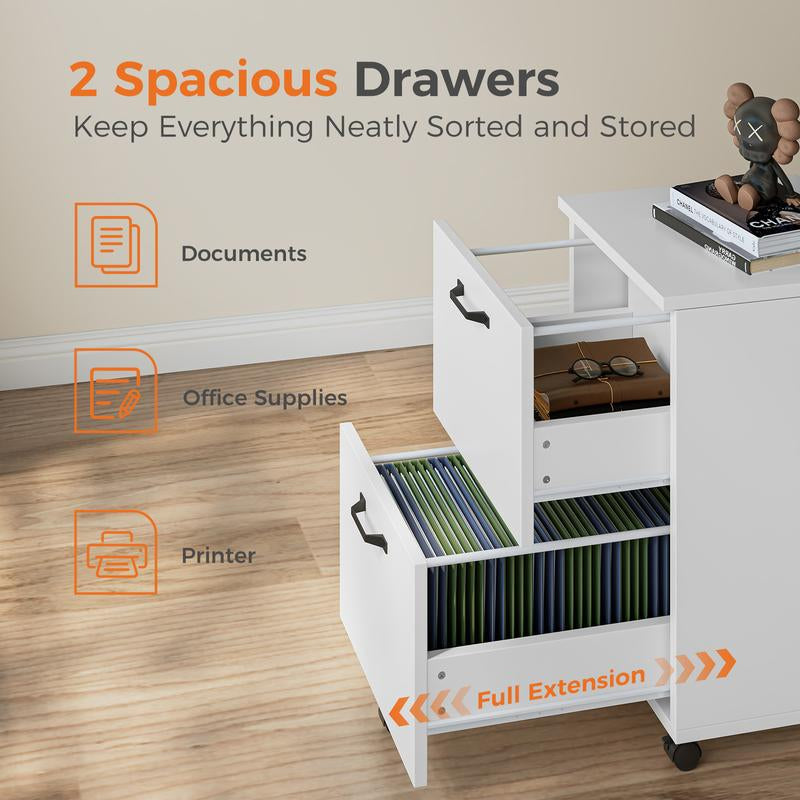 2-Drawer File Cabinet,Rolling File Cabinet with Locking Casters,2 Drawer Storage for A4 & Letter Size,Mobile Organizer for Home Office and Dorm Room