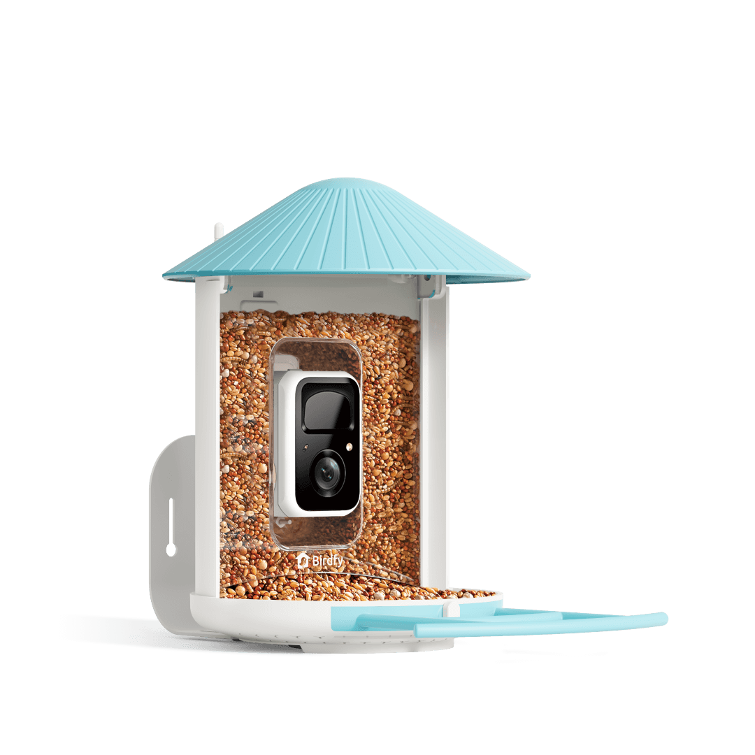 Birdfy Feeder - Smart Bird Feeder with Camera Standard Kit
