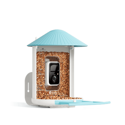 Birdfy Feeder - Smart Bird Feeder with Camera Standard Kit
