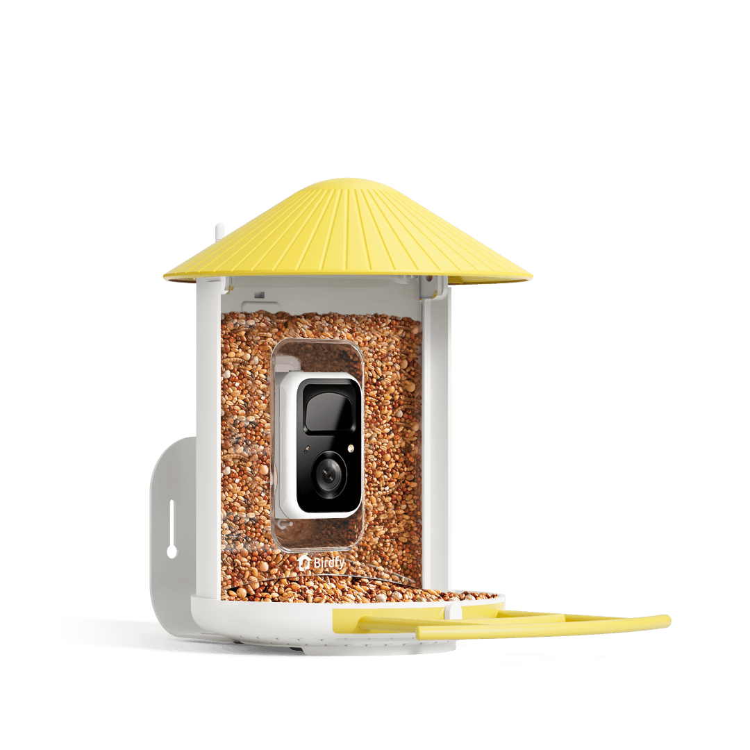 Birdfy Feeder - Smart Bird Feeder with Camera Standard Kit