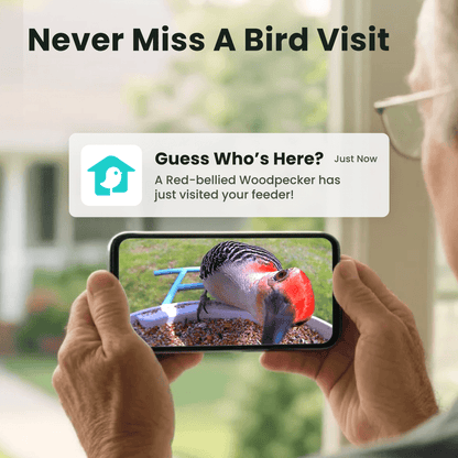 Birdfy Smart Feeder -  Limited Father's Day Gift Set
