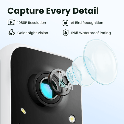 Birdfy Feeder - Smart Bird Feeder with Camera Standard Kit