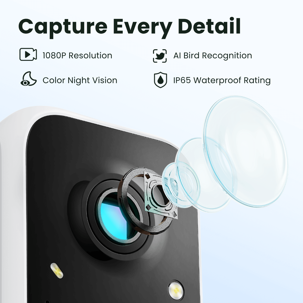 Birdfy Smart Feeder -  Limited Father's Day Gift Set