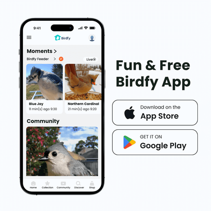 Birdfy Smart Feeder -  Limited Father's Day Gift Set