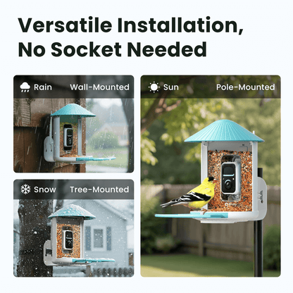 Birdfy Smart Feeder -  Limited Father's Day Gift Set