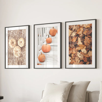 Cozy Fall Wall Art Set of 3. Pumpkins and Autumn Leaves
