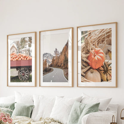 Autumn Pumpkin Set of 3 Prints. Rustic Fall Harvest Decor