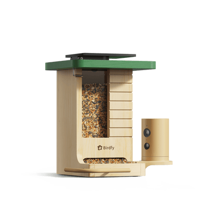 Birdfy Feeder Wood - Wooden Smart Bird Feeder with Camera