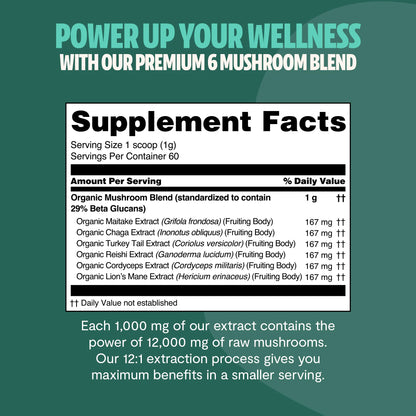 Organic Mushroom Extract Powder Blend