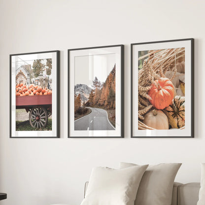 Autumn Pumpkin Set of 3 Prints. Rustic Fall Harvest Decor
