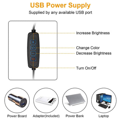 LED Reading Desk Lamp with Clamp Adjustable Swing Arm