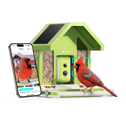 Birdfy Feeder Metal - Limited Father's Day Gift Set