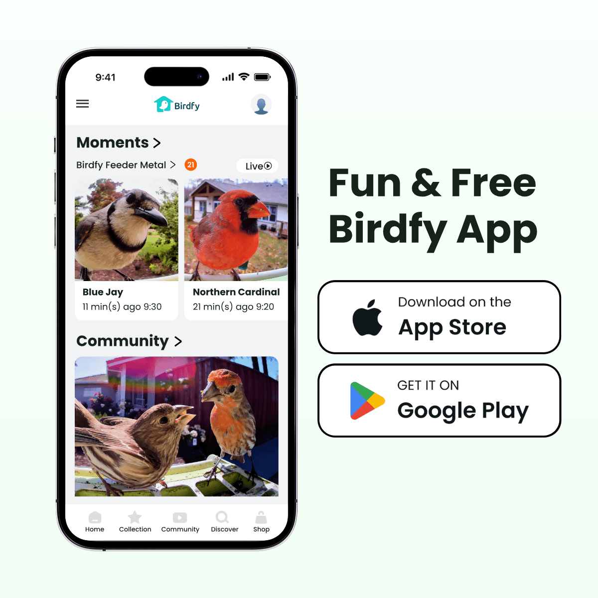 Birdfy Feeder Metal - Limited Father's Day Gift Set