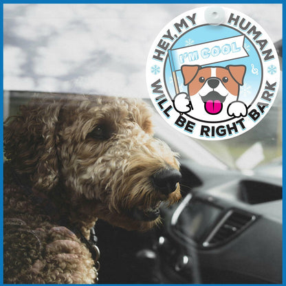 Generic I'M COOL Car Sign Pet Safety Alert Vinyl White/Blue Auto Accessory