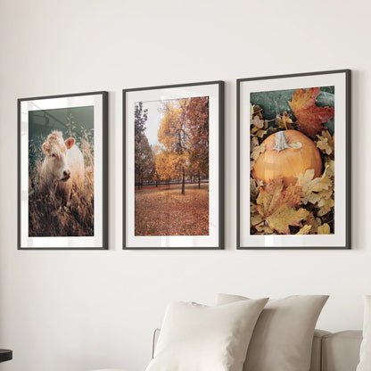 Autumn Farmhouse Prints. Cow, Fall Trees, Pumpkin Decor