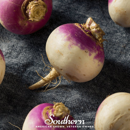 Purple Top White Globe Turnip – 250 Seeds
