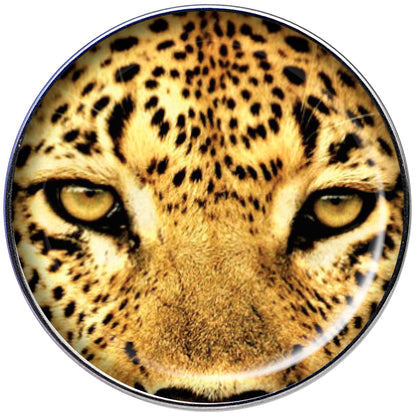 16G 1/4 Full Color Leopard Eyes Tragus Cartilage Earring